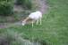 resIMG_20120708_2009.JPG